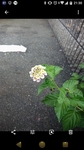 20181116-213045.jpg