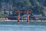 DSC01710.jpg