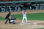 DSC01855.jpg