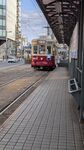 PXL_20250307_063955552.jpg