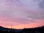 R0016640.jpg
