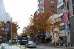 DSC_4093.jpg